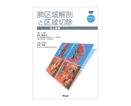 「肺区域解剖と区域切除」